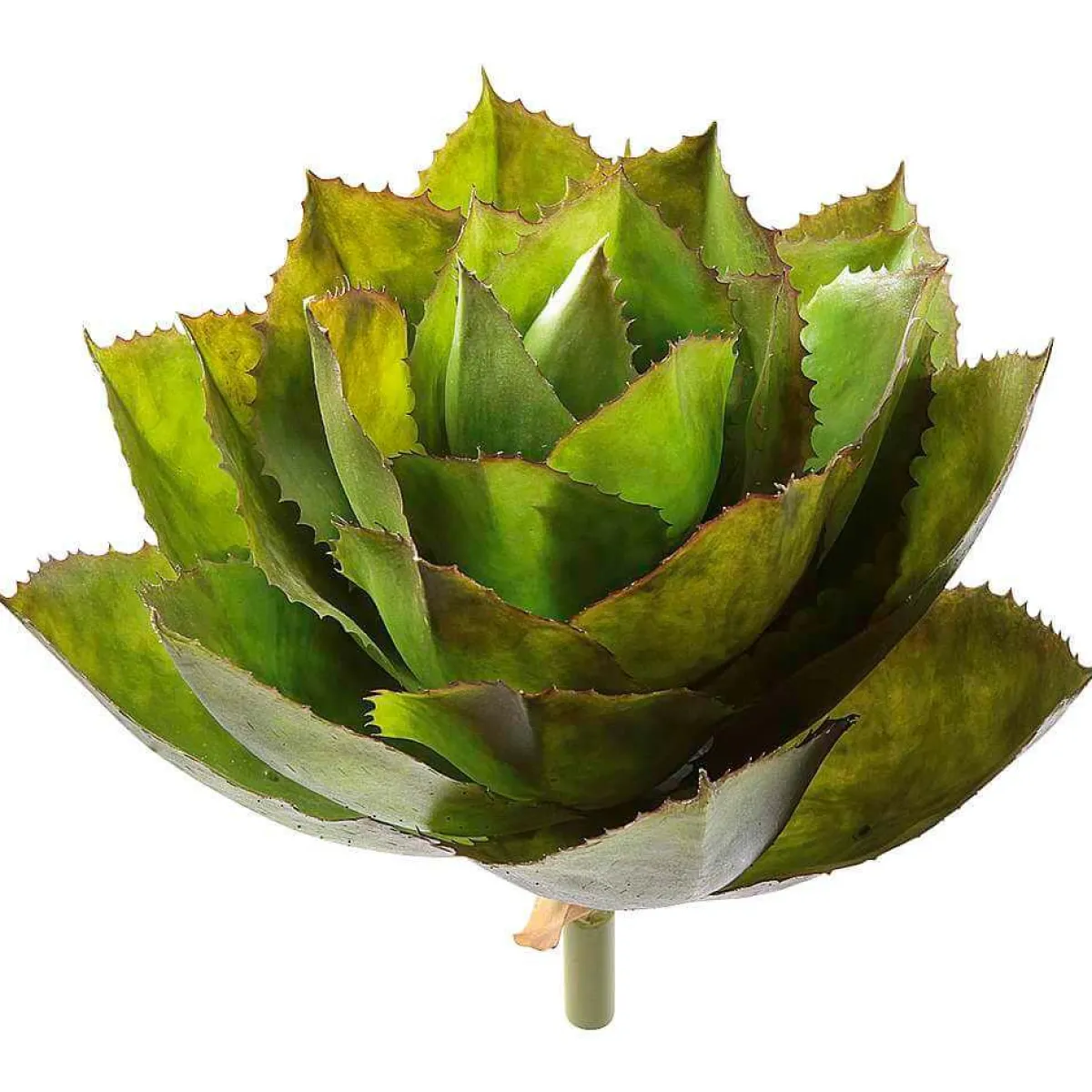 Agave De Parry Artificielle Sans Pot, Ø 38 Cm-DecoWoerner Clearance