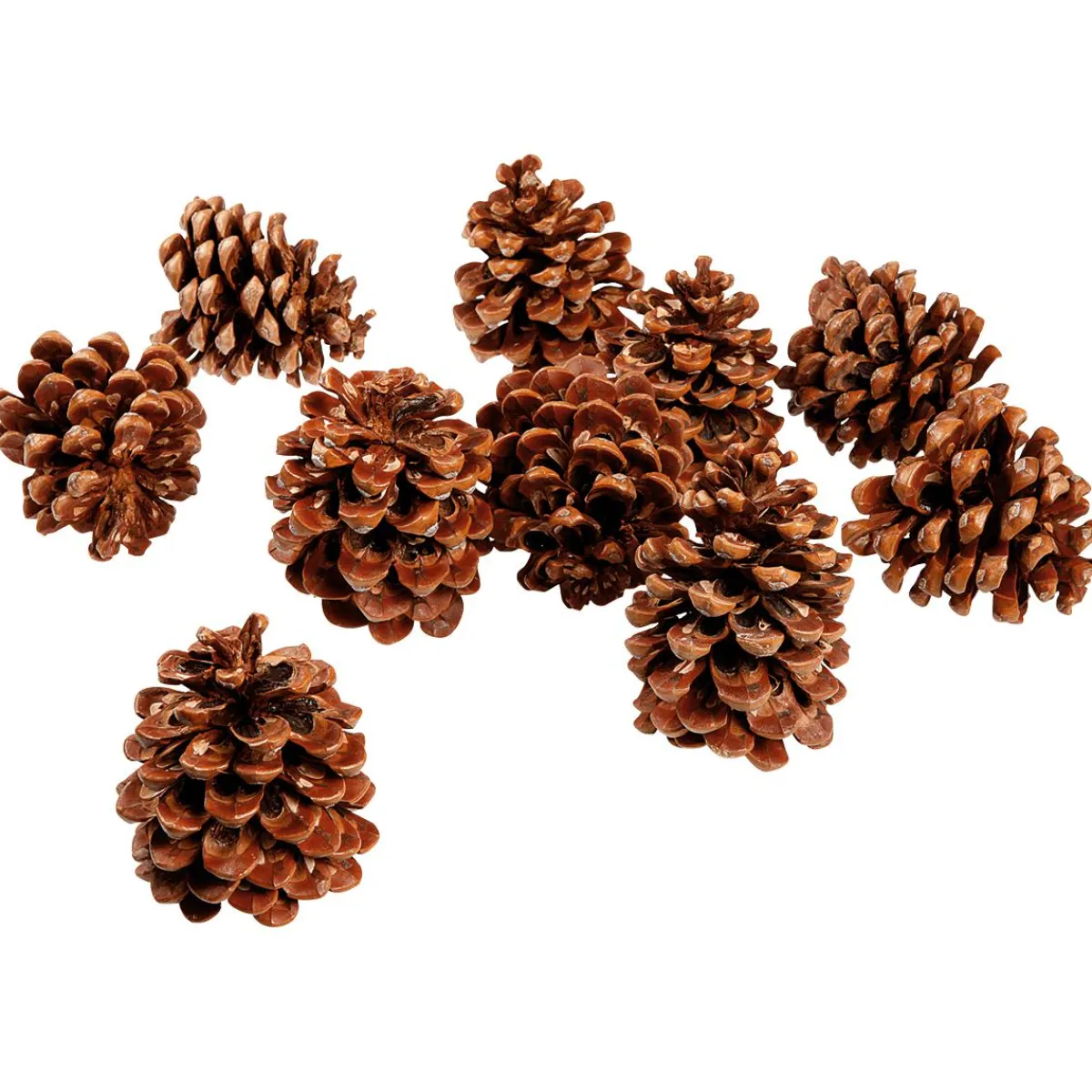 Articles à Parsemer Pommes De Pin, 10 Pces-DecoWoerner