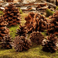 Articles à Parsemer Pommes De Pin, 10 Pces-DecoWoerner