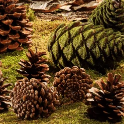 Articles à Parsemer Pommes De Pin, 10 Pces-DecoWoerner