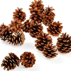 Articles à Parsemer Pommes De Pin, Environ 50 Pièces-DecoWoerner Outlet