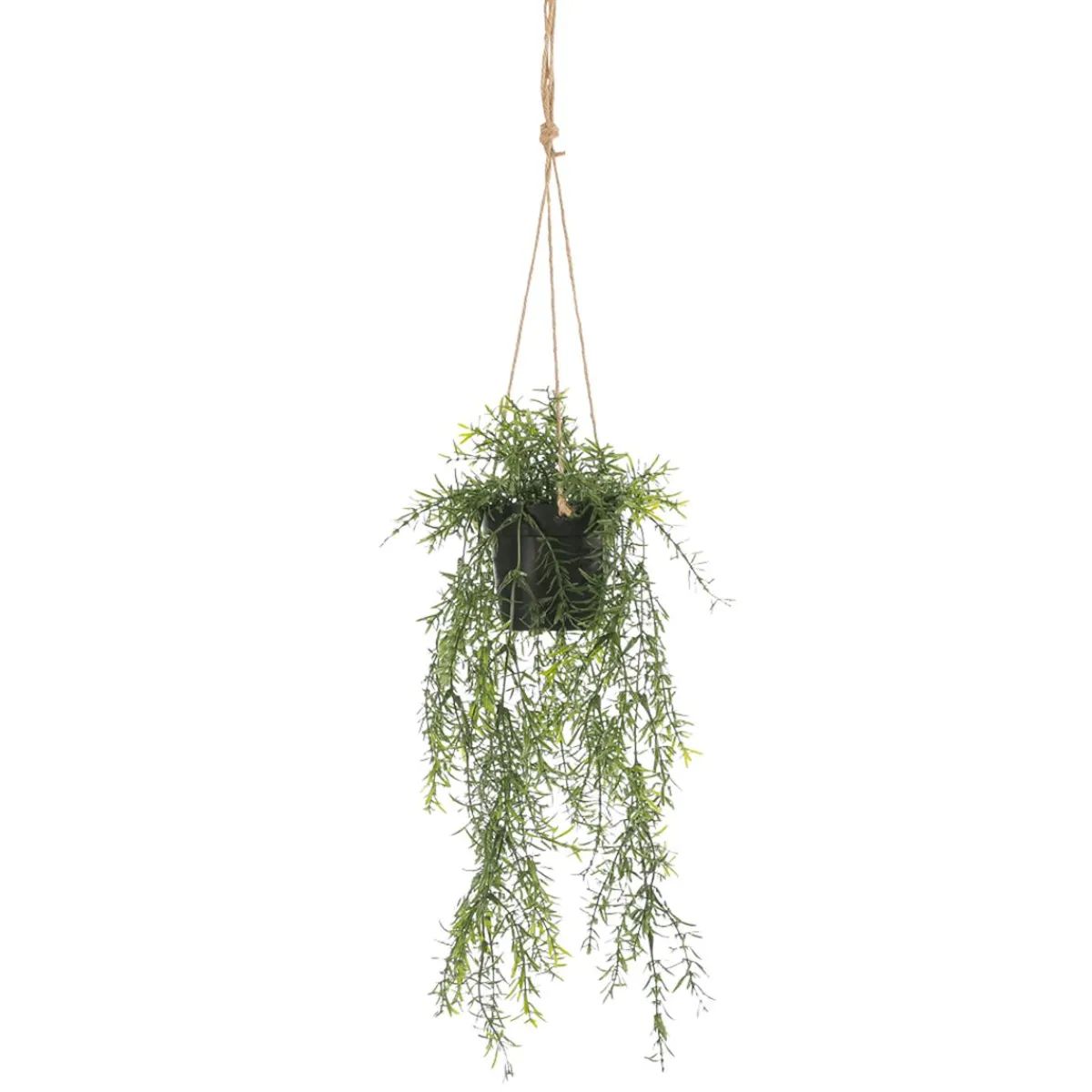 Asperge Décorative Artificielle Asparagus Ampoule 20 X 50 Cm-DecoWoerner Discount