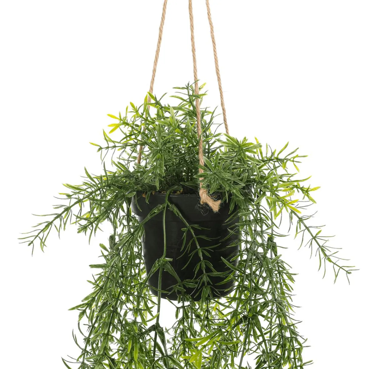 Asperge Décorative Artificielle Asparagus Ampoule 20 X 50 Cm-DecoWoerner Discount