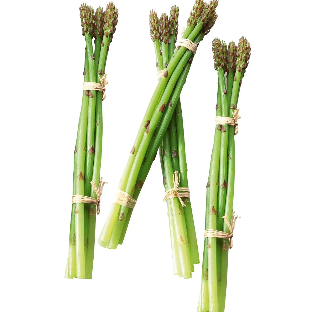 Asperge e Aliment Factice, Paquet De 4 Pièces-DecoWoerner Hot