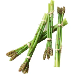 Asperge e Aliment Factice, Paquet De 4 Pièces-DecoWoerner Hot