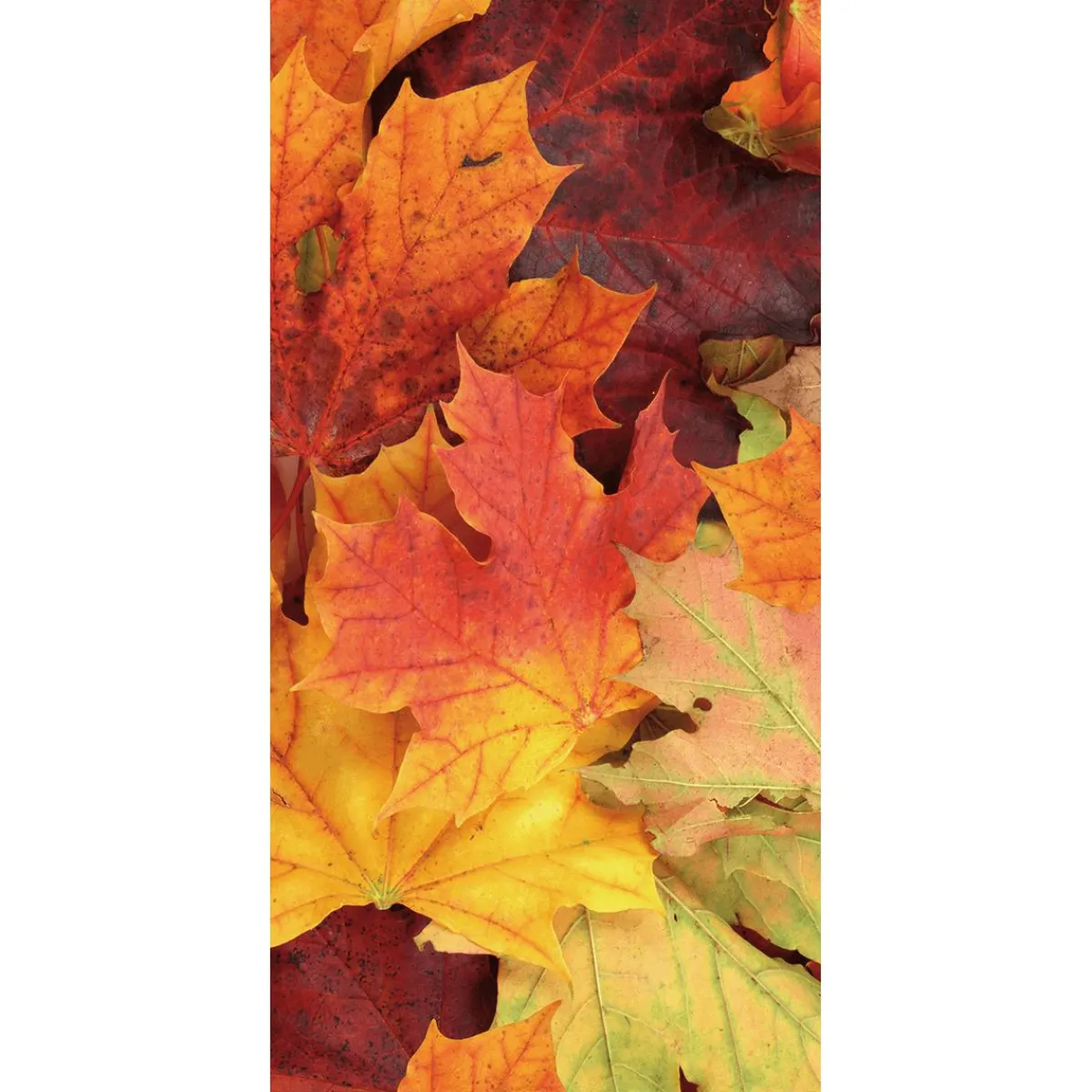 Bandera De Tela Ignífuga "Hojas De Otoño" 100 X 200 Cm-DecoWoerner Hot