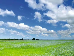 Bannière En Bâche XXL "Prairie Et Ciel Nuageux" En Bâche De Camion Ignifuge 250 X 330 Cm-DecoWoerner Hot
