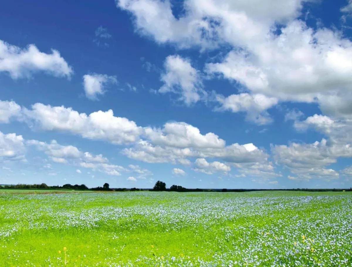 Bannière En Bâche XXL "Prairie Et Ciel Nuageux" En Bâche De Camion Ignifuge 250 X 330 Cm-DecoWoerner Hot