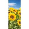 Bannière En Tissu Champ De Tournesols 75 X 180 Cm-DecoWoerner Hot