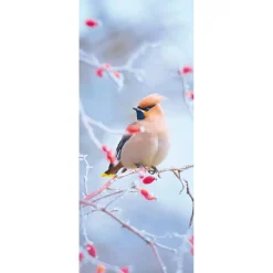 Bannière En Tissu Difficilement Inflammable "Oiseau à Queue De Soie Dans L'églantier" En Tissu Pour Drapeau 75 X 180 Cm-DecoWoerner Discount