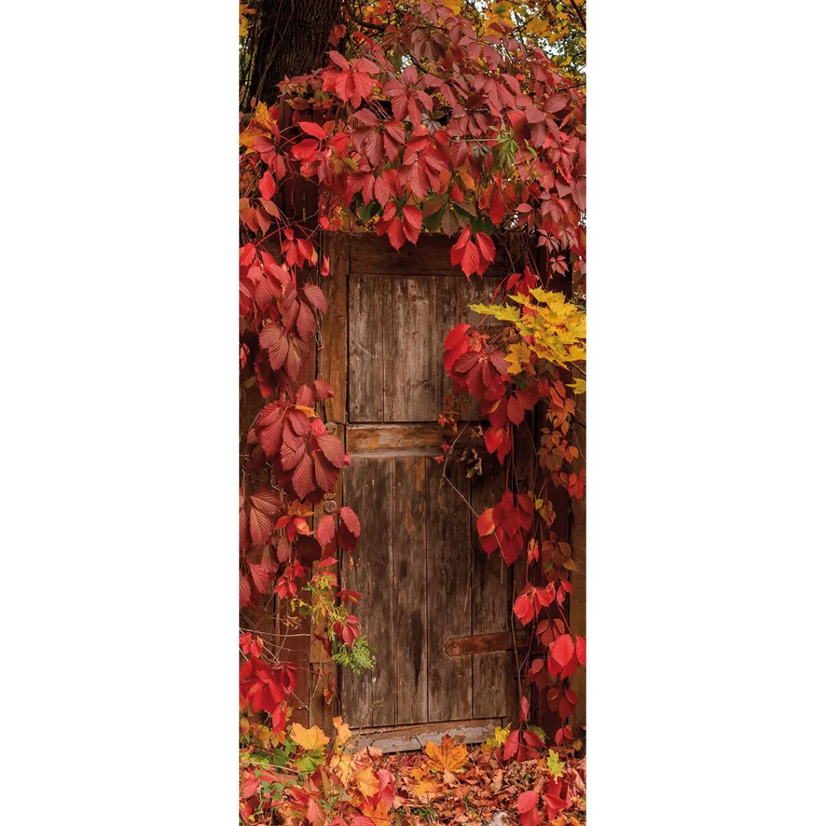 Bannière En Tissu Difficilement Inflammable "Feuilles D'automne" En Tissu Pour Drapeau 100 X 200 Cm-DecoWoerner Discount