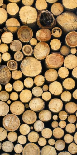 Bannière En Tissu Difficilement Inflammable "pile De Bois" En Tissu Pour Drapeau 100 X 200 Cm-DecoWoerner Online