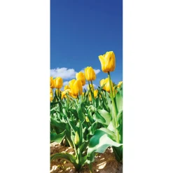 Bannière En Tissu Difficilement Inflammable Champ De Tulipes s En Tissu Pour Drapeau 75 X 180 Cm-DecoWoerner