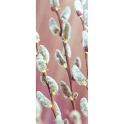 Bannière En Tissu Difficilement Inflammable Chatons De Palmier En Tissu Pour Drapeau 75 X 180 Cm-DecoWoerner Best