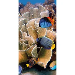 Bannière En Tissu Difficilement Inflammable "Récif Avec Poissons Corail Multicolores" En Tissu Pour Drapeau 100 X 200 Cm-DecoWoerner Hot