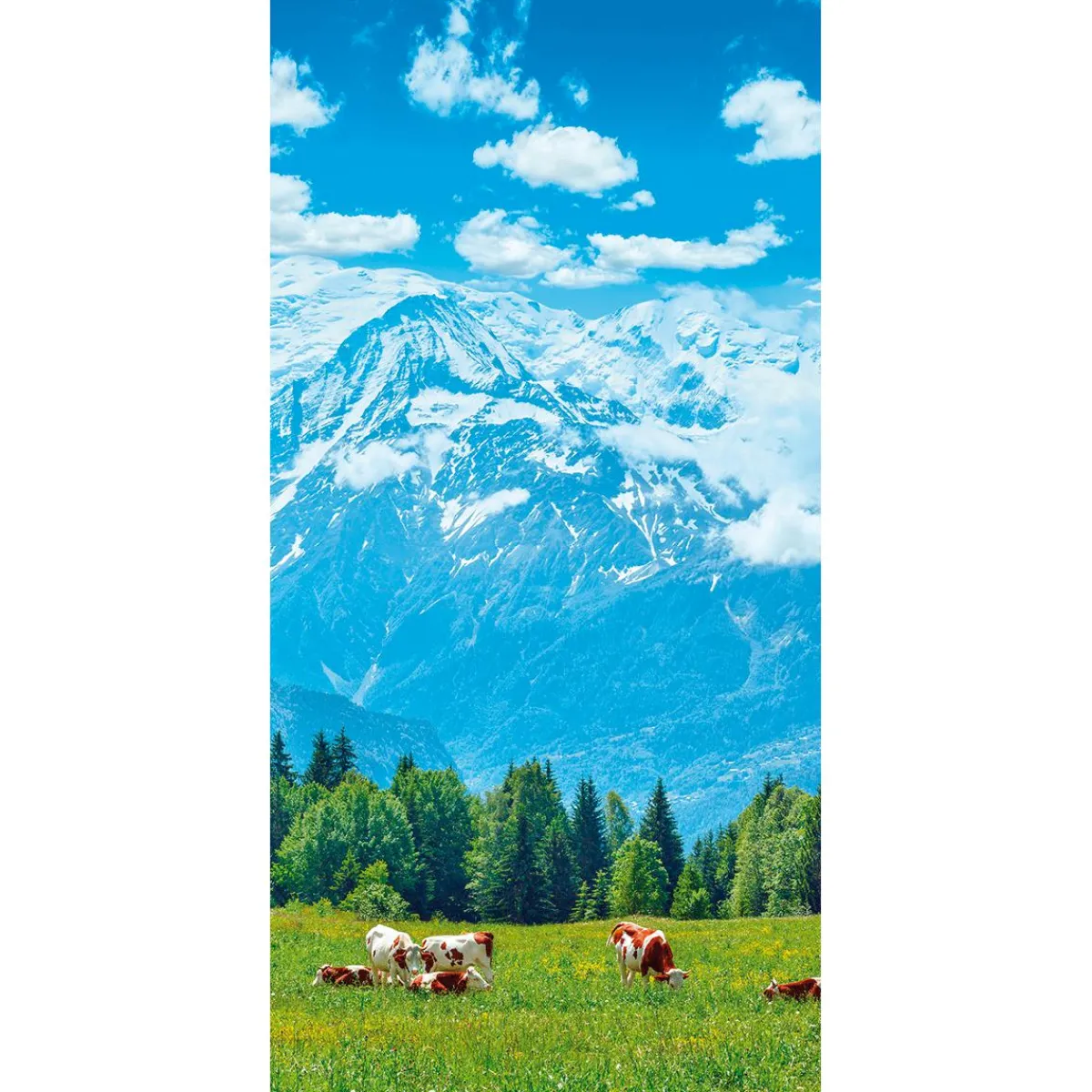 Bannière En Tissu Ignífuga "Vaches Sur Le Pâturage Devant Bergen" En Tissu Pour Drapeau 100 X 200 Cm-DecoWoerner New