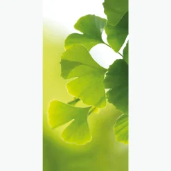Bannière En Tissu Ignifugé "Ginkgo" En Tissu Pour Drapeau 100 X 200 Cm-DecoWoerner Sale