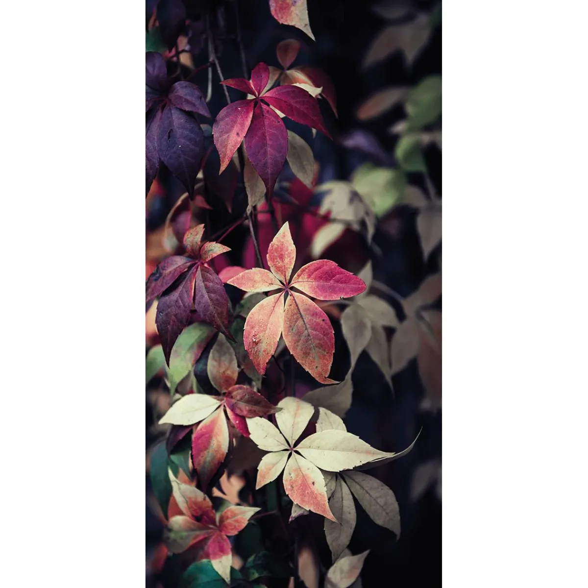 Bannière En Tissu Ignifugé "feuilles De Vigne s" En Tissu Pour Drapeau 100 X 200 Cm-DecoWoerner Outlet