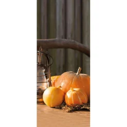 Bannière En Tissu Ignifugé "citrouilles Avec Lanterne" En Tissu Pour Drapeau 75 X 180 Cm-DecoWoerner