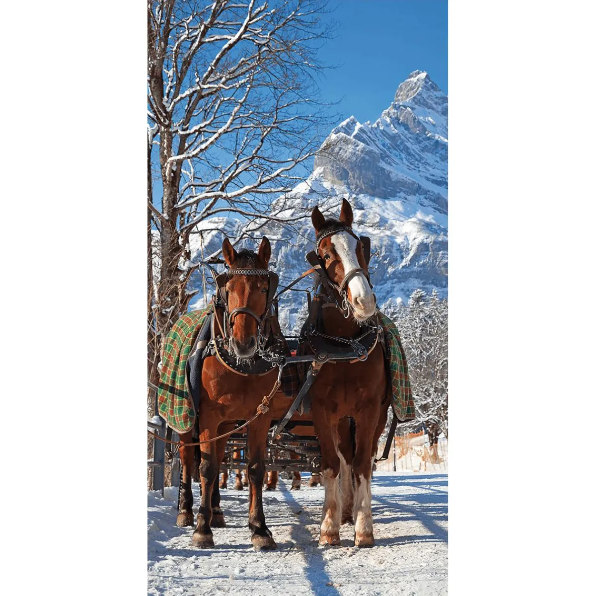 Bannière En Tissu Ignifugé "Carrosse De Chevaux Dans La Neige" En Tissu Pour Drapeau 100 X 200 Cm-DecoWoerner Best