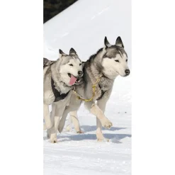Bannière En Tissu Ignifugé "Huskys En Course" En Tissu Pour Drapeau 100 X 200 Cm-DecoWoerner Sale