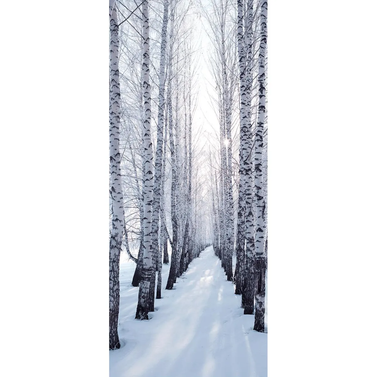 Bannière En Tissu Ignifugé "Allée De Bouleaux D'hiver" En Tissu Pour Drapeau 75 X 180 Cm-DecoWoerner New