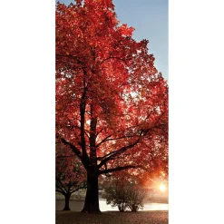 Bannière En Tissu Ignifugé "arbre D'automne " En Tissu Pour Drapeau 100 X 200 Cm-DecoWoerner Online