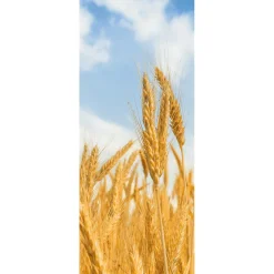 Bannière En Tissu Ignifugé "épis De Blé Dorés" En Tissu Pour Drapeau 75 X 180 Cm-DecoWoerner New