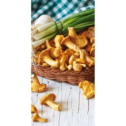 Bannière En Tissu Ignifugé "Champignons Aux Girolles" En Tissu Drapeau 100 X 200 Cm-DecoWoerner Hot