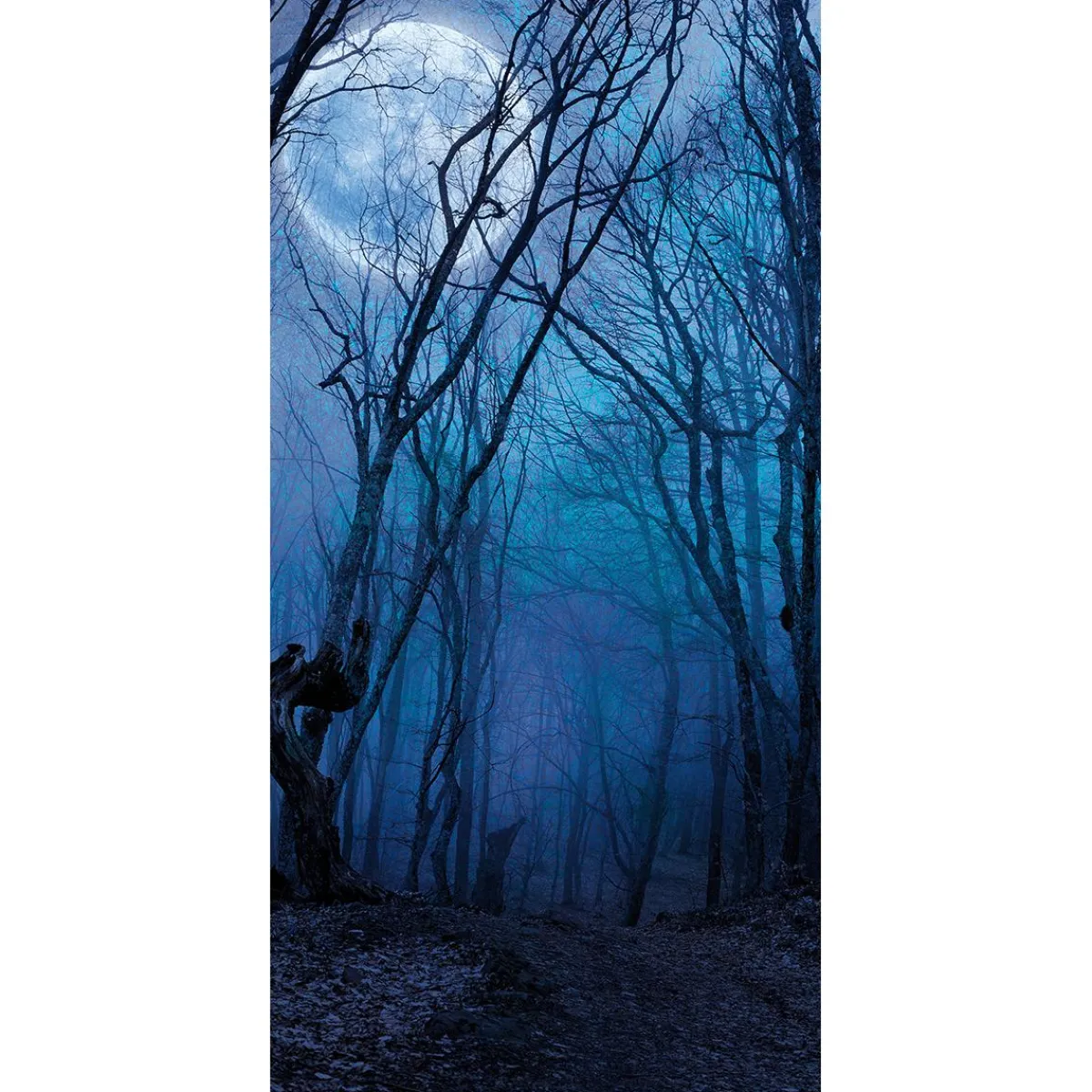 Bannière En Tissu Ignifugé "Forêt Nocturne à La Pleine Lune" En Tissu Pour Drapeau 100 X 200 Cm-DecoWoerner Outlet