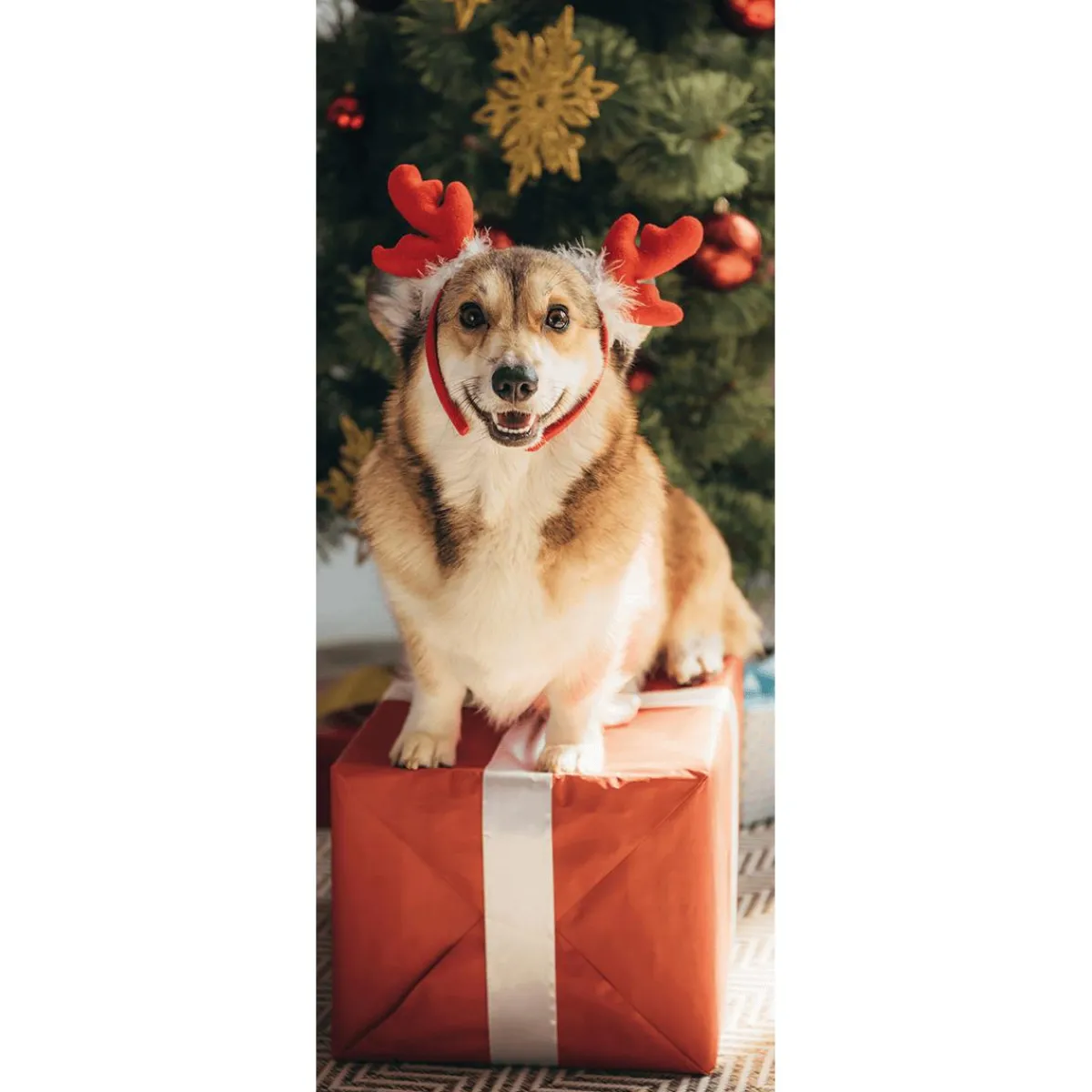 Bannière En Tissu Ignifugé "Chien De Noël Corgi" En Tissu Pour Drapeau 75 X 180 Cm-DecoWoerner Hot