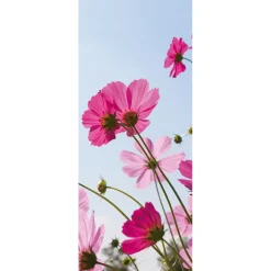 Bannière En Tissu Ignifugé Fleurs De Cosmos En Tissu Drapeau 75 X 180 Cm-DecoWoerner Online
