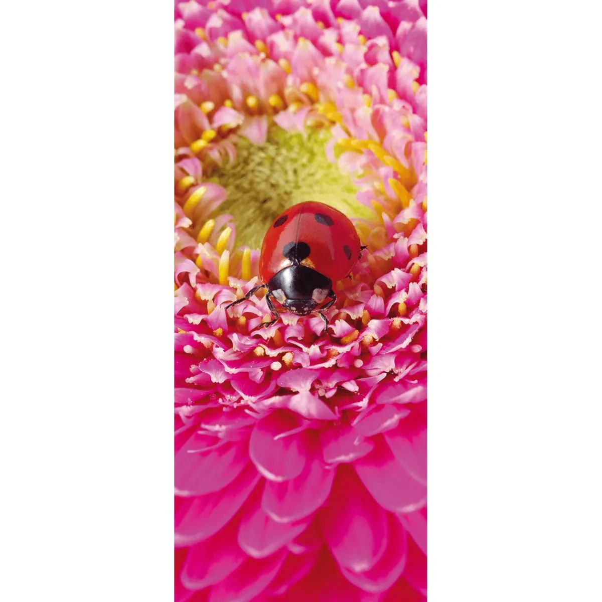 Bannière En Tissu Ignifugé "coccinelle Sur Fleur Rose" En Tissu Pour Drapeau 75 X 180 Cm-DecoWoerner Hot