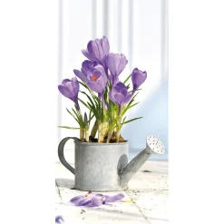 Bannière En Tissu Ignifugé "crocus Lilas Dans L'arrosoir" En Tissu Pour Drapeau 100 X 200 Cm-DecoWoerner Sale