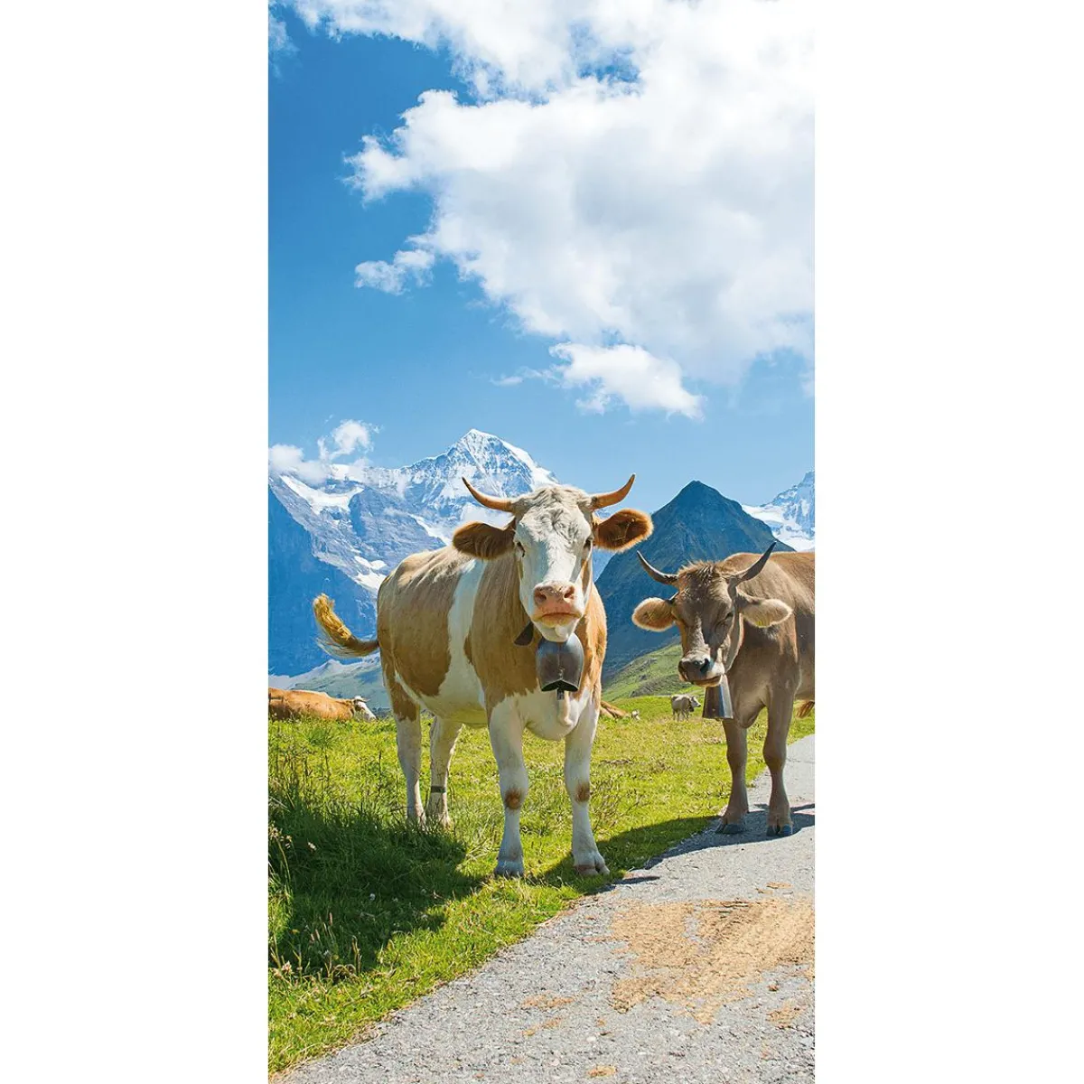 Bannière En Tissu Ignifugé "vaches Laitières Heureuses Dans Les Alpes" En Tissu Pour Drapeau 100 X 200 Cm-DecoWoerner Hot