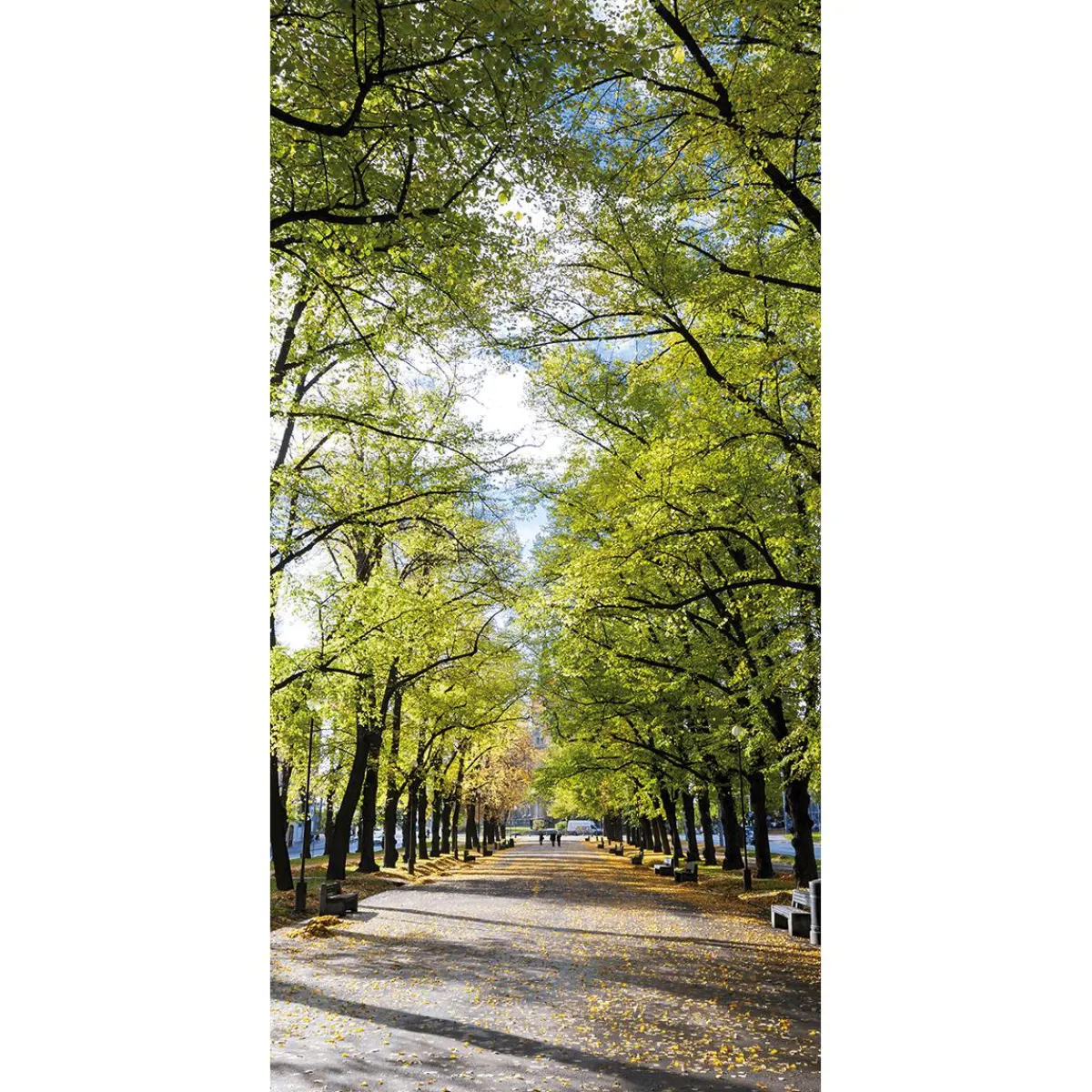 Bannière En Tissu Ignifugé "Allee Im Park" En Tissu Pour Drapeau 100 X 200 Cm-DecoWoerner New