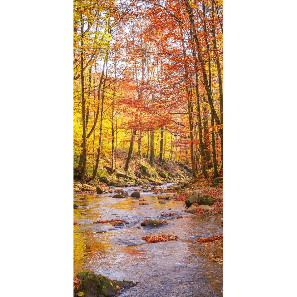 Bannière En Tissu Ruisseau Automne 100 X 200 Cm-DecoWoerner Outlet
