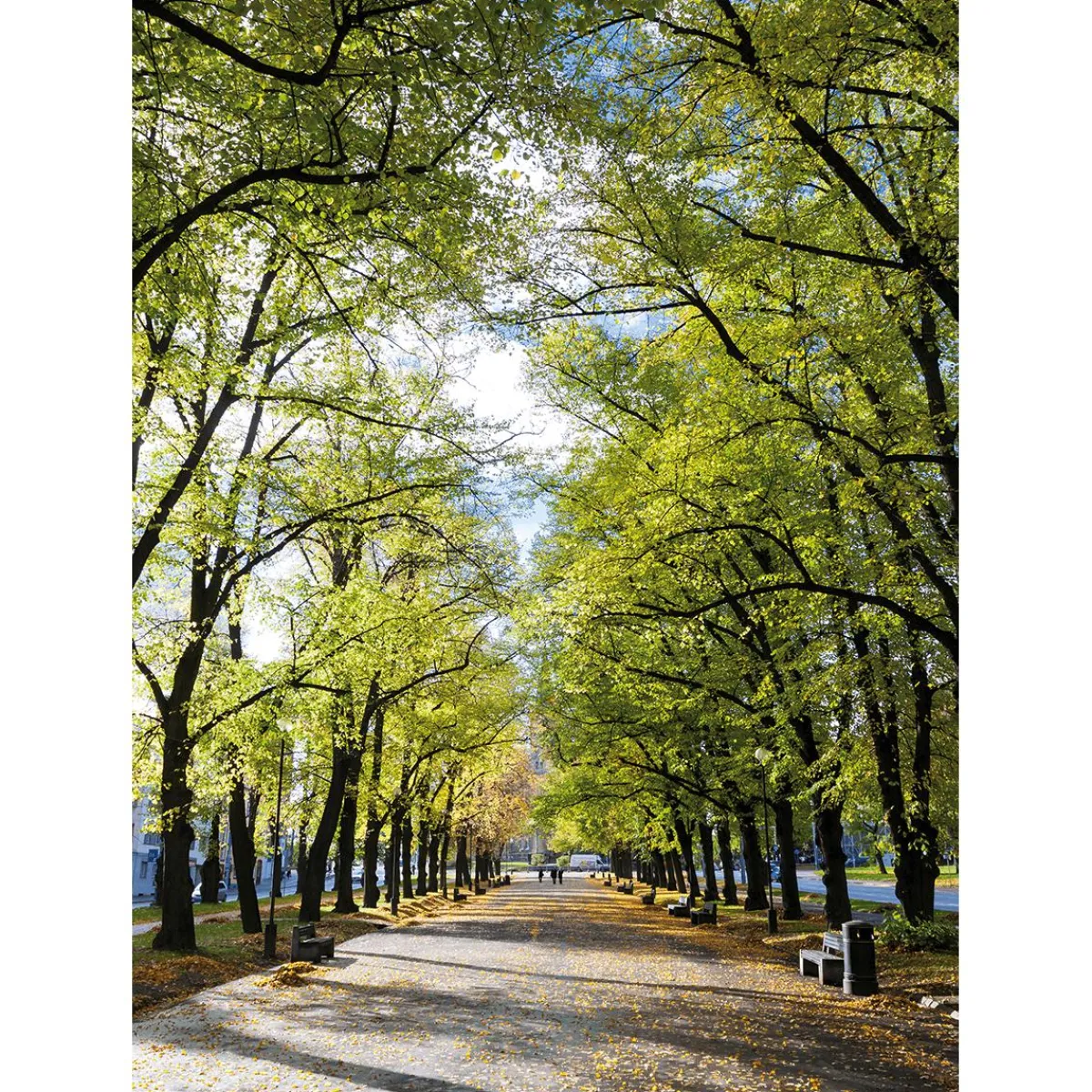 Bannière En Tissu XL "Allée Dans Le Parc" En Tissu Drapeau Ignifugé 150 X 200 Cm-DecoWoerner Hot