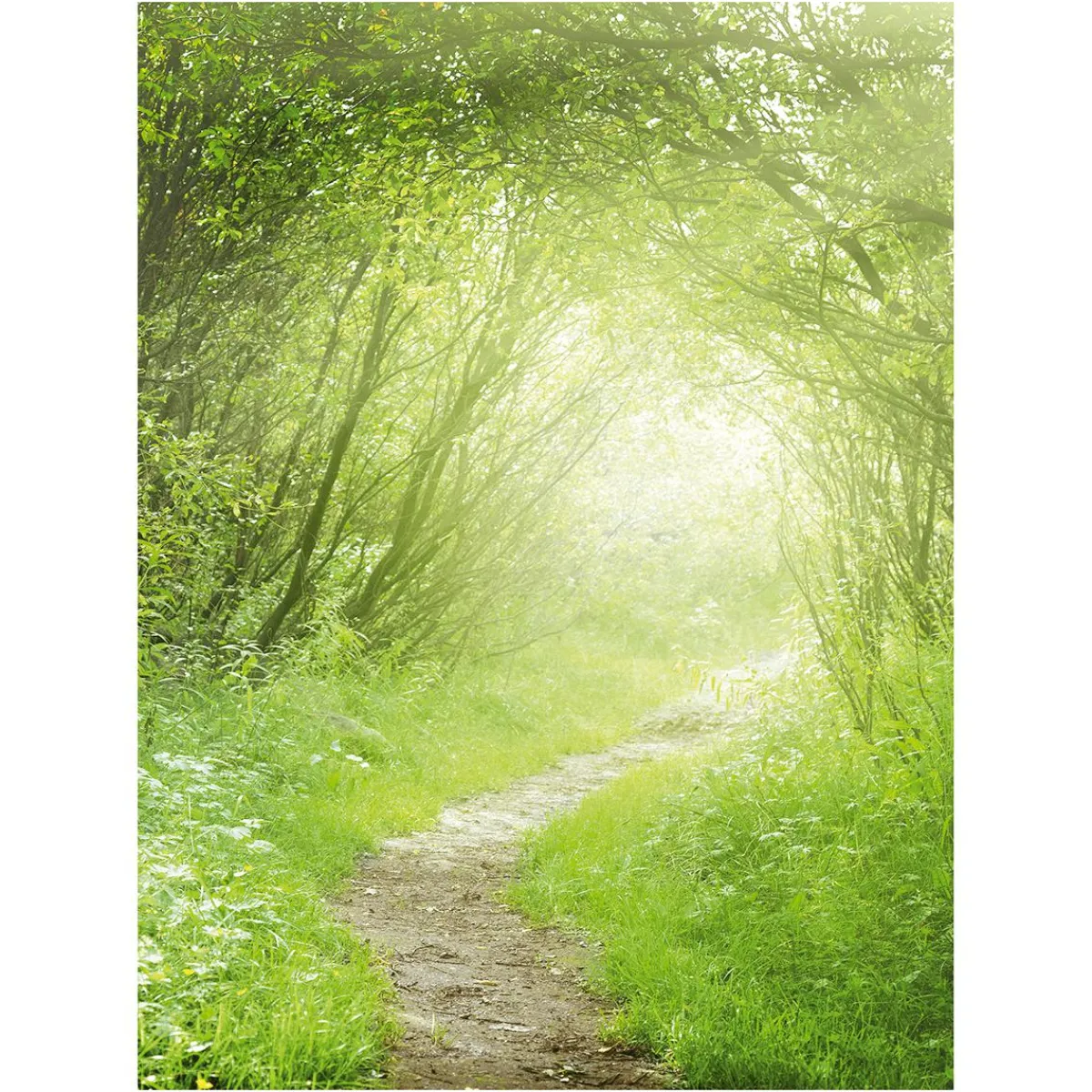 Bannière En Tissu XL "chemin Forestier" En Tissu De Drapeau Ignifugé 150 X 200 Cm-DecoWoerner Sale