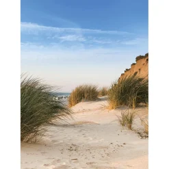 Bannière En Tissu XL "Dune De Plage" En Tissu De Drapeau Ignifugé 150 X 200 Cm-DecoWoerner New