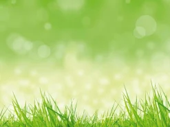 Bannière XXL "herbe De Printemps" En Bâche De Camion Ignifuge 250 X 330 Cm-DecoWoerner Online