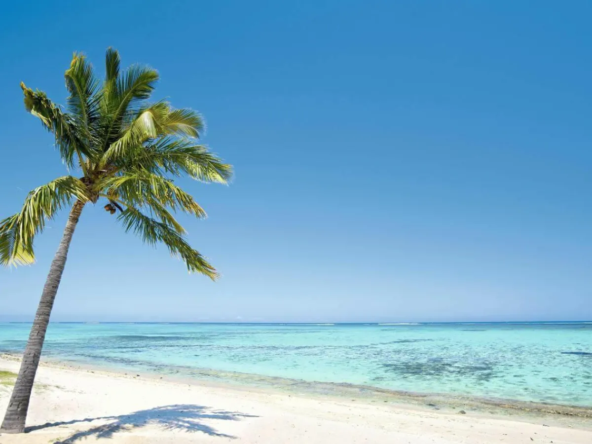 Bannière XXL "Plage De Palmiers Tropicaux" En Bâche De Camion Difficilement Inflammable 250 X 330 Cm-DecoWoerner Discount