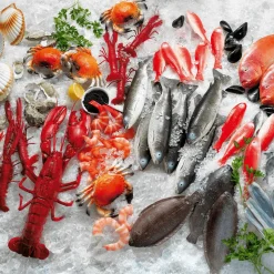 Bloc De Glace En Plastique De Qualité Alimentaire, 50 Pièces-DecoWoerner Outlet