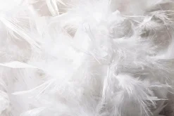 Boa De Plumes, , 180 Cm-DecoWoerner Clearance