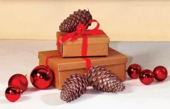 Boîte Cadeau Brune 38 X 26 X 13 Cm 10 Pces-DecoWoerner Online