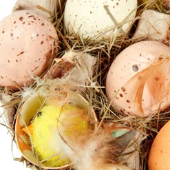Boîte D’œufs Et De Poussins-DecoWoerner Online