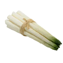 Bouquet D'asperges Aliment Factice 20 Cm-DecoWoerner Online