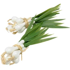 Bouquet De Ciboule Aliment Factice 15 Cm-DecoWoerner Clearance