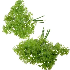 Bouquet De Persil Alimentaire Factice-DecoWoerner Best
