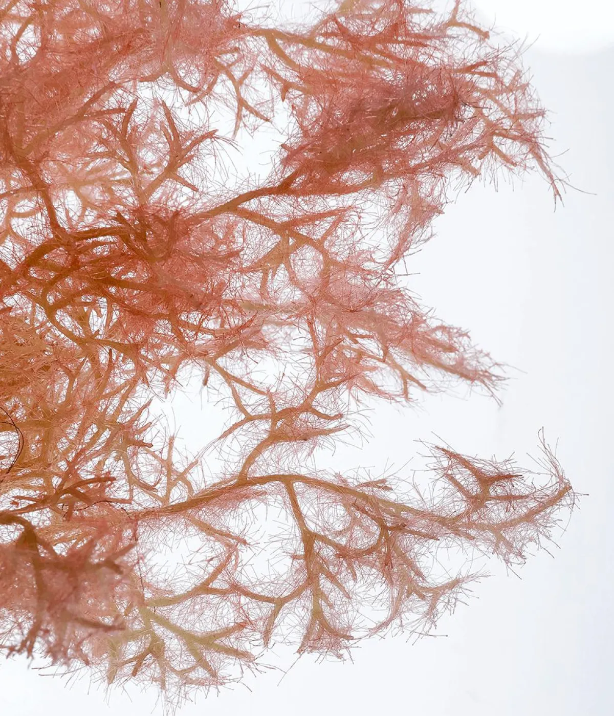 Branche Déco Fleur De au, 90 Cm-DecoWoerner Online